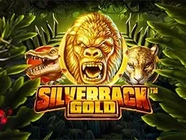 Silverback Gold DNT thumbnail
